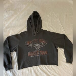 HOLLISTER Cropped Graphic Sweatshirt/Hoodie Dark Grey Size: Small